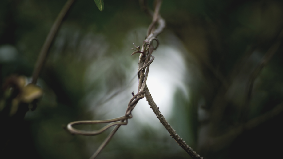 toxische Beziehung